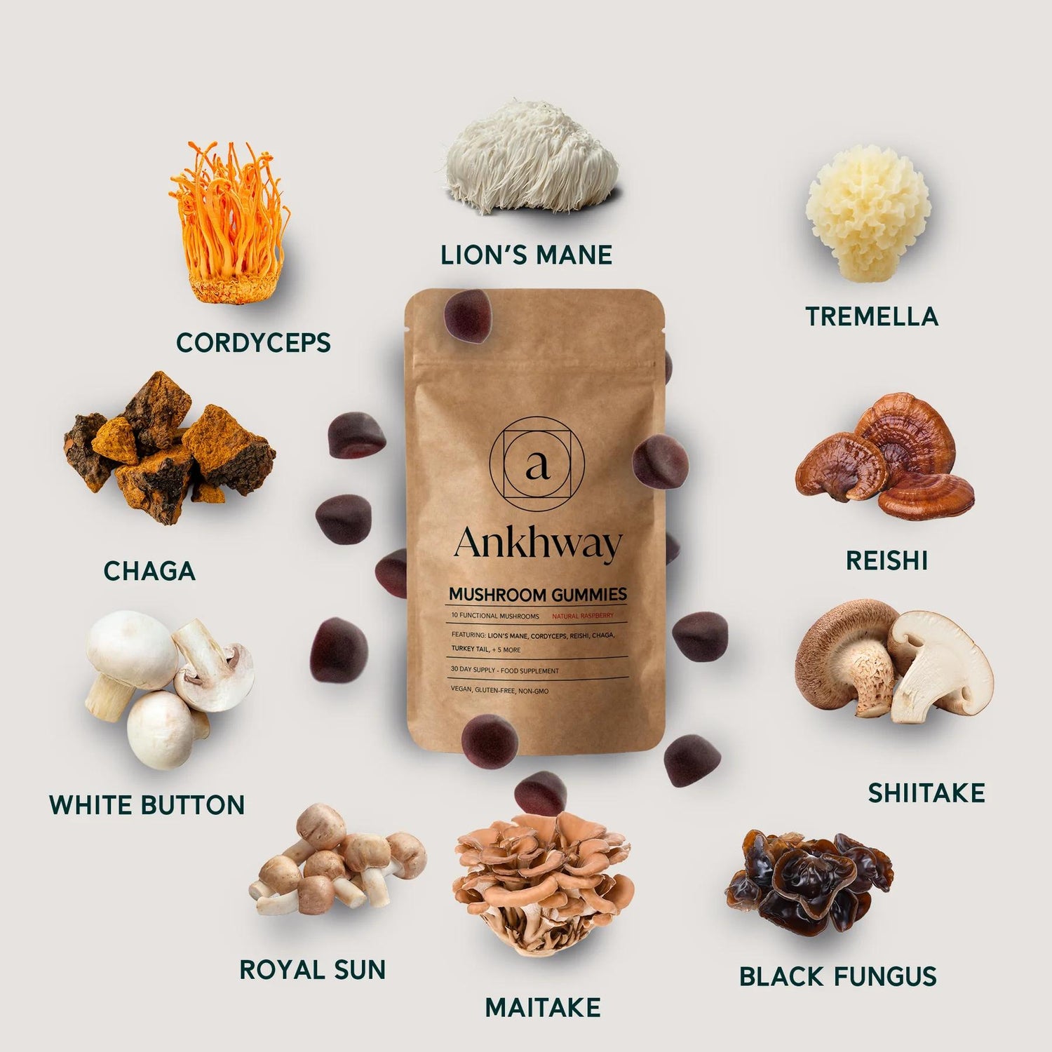 The ten functional mushrooms in the Ankhway blend