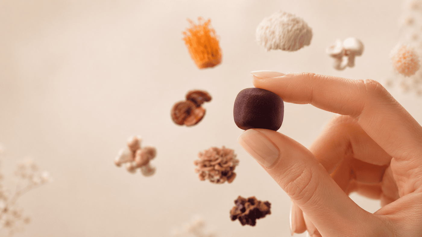 Functional mushroom ingredients