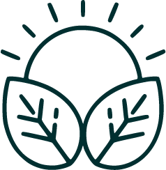 Stylized icon of a sun rising behind leaves.