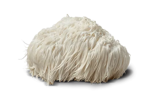 Lion's Mane